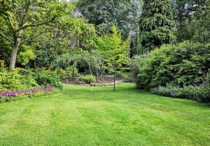 Optimiser l'expérience du jardin à La Celle-sous-Montmirail